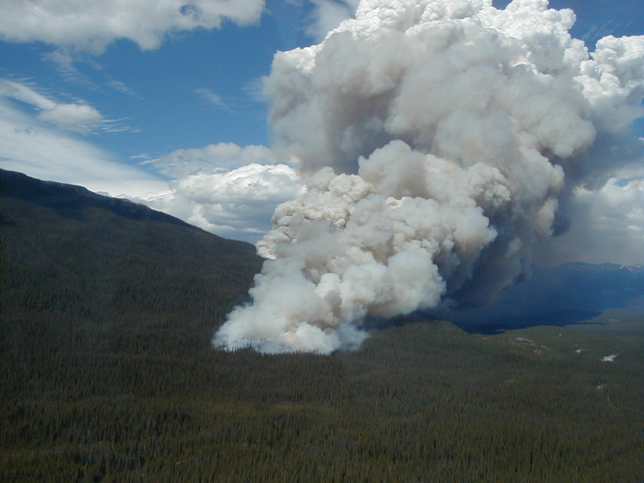 Aerial photograph of a forest fire and smoke plume