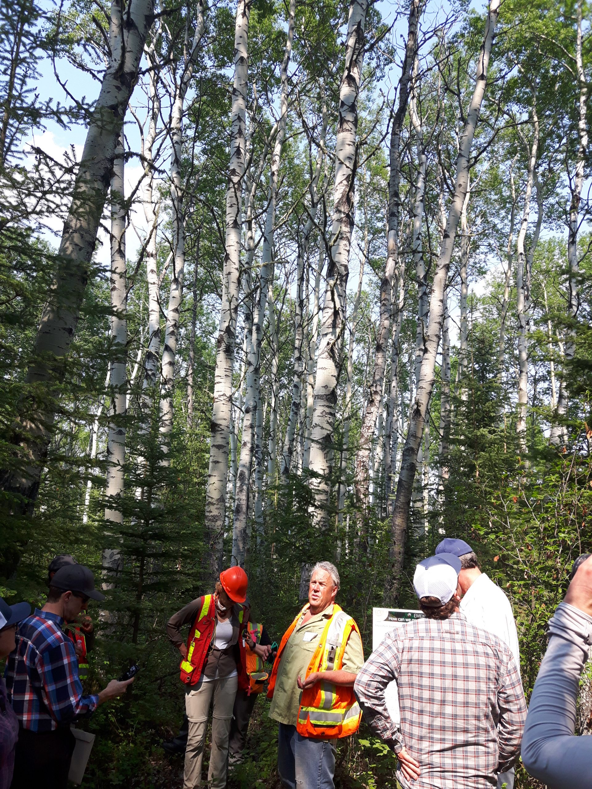 A group of foresters touring an experimental forest
