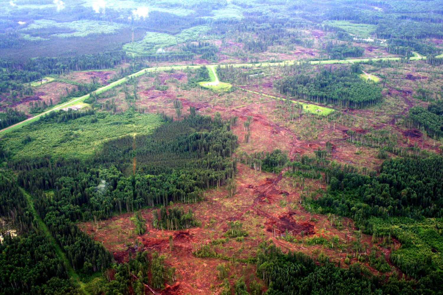 Aerial view of harvest blocks and oil well pads