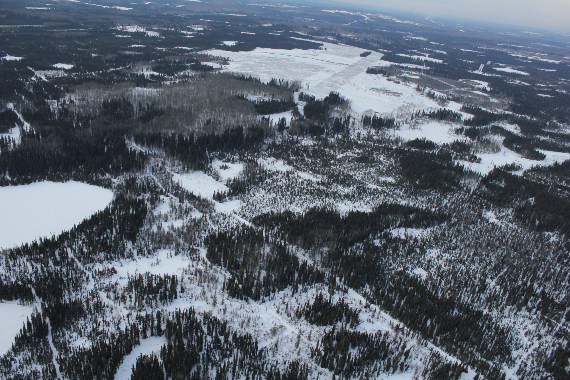 Aerial view of snow covered forest with logging and gas