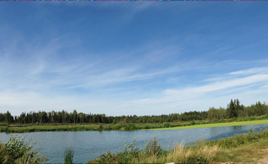 Boreal Forest in northern Saskatchewan.