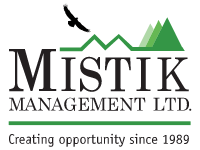 Mistik Mangement Ltd. Logo