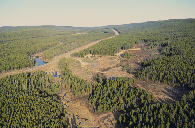 Aerial veiw of road, stream and harvest blocks in Boreal Forest