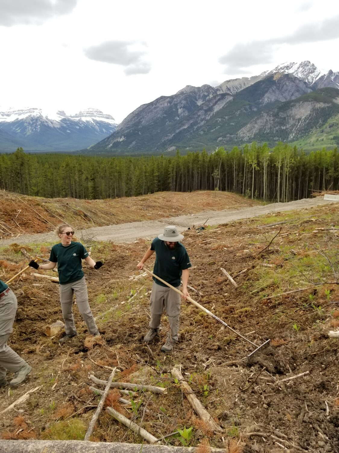 Parks employees raking forestry debris
