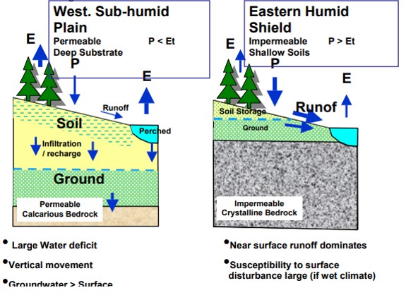 forest hydrology diagram