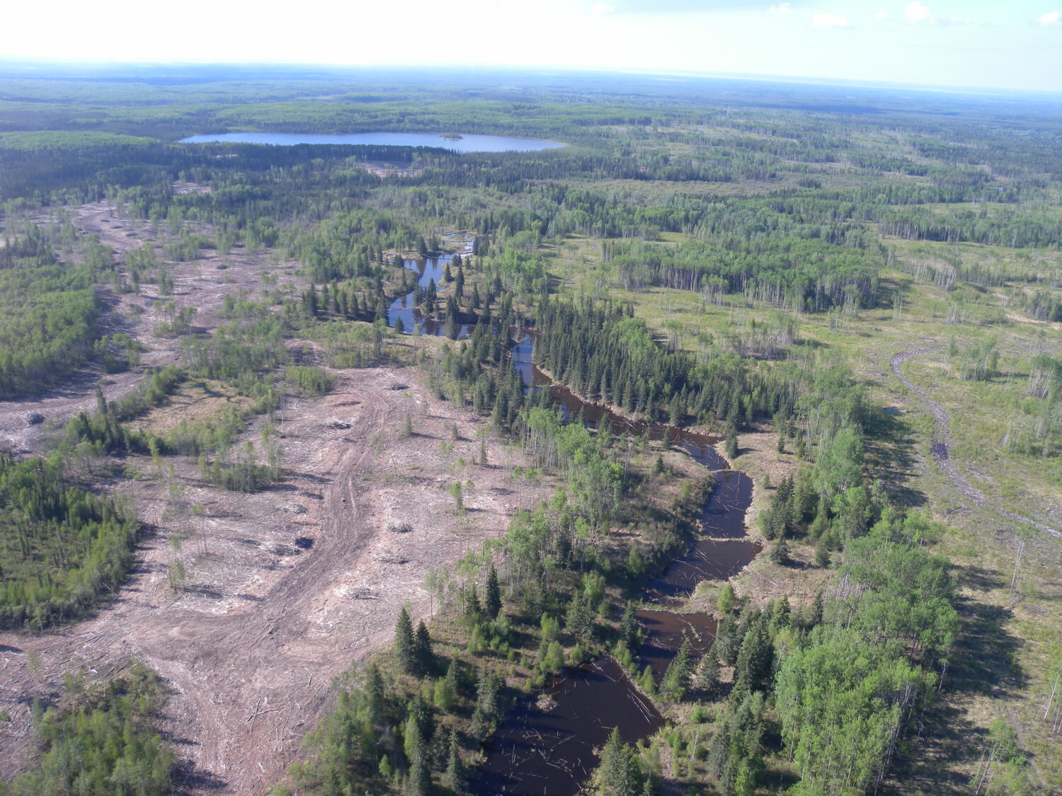 Air photo of clearcut and lake