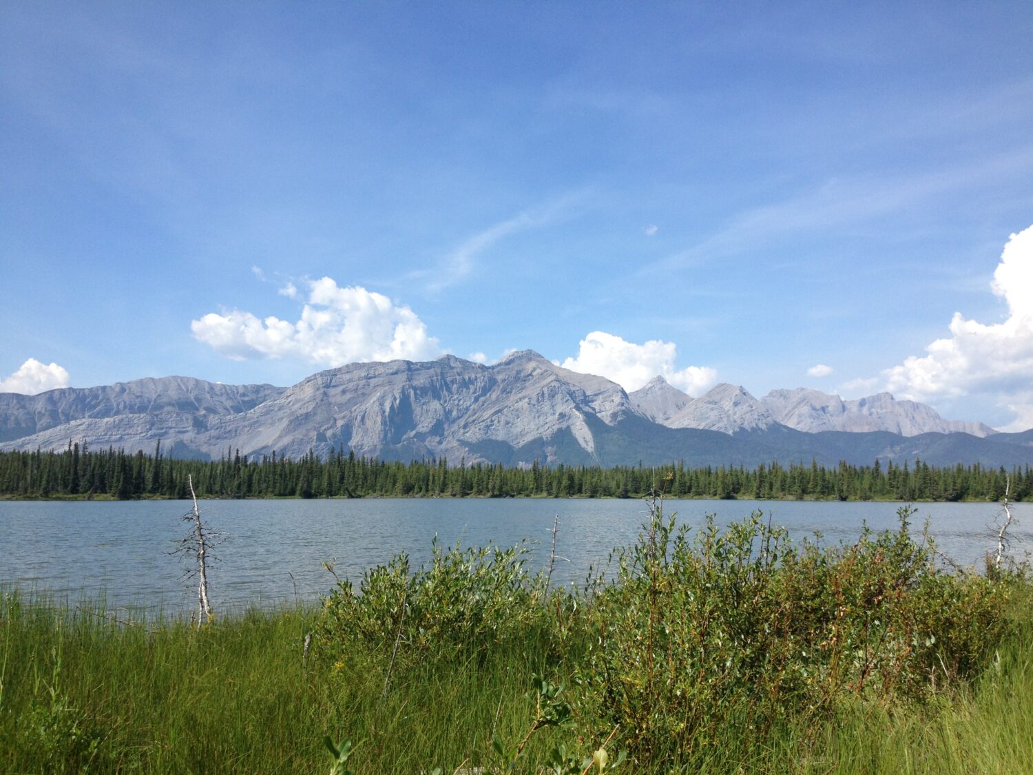 A mountain wetland